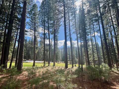 879 Prospector Drive, Clio, CA 96106