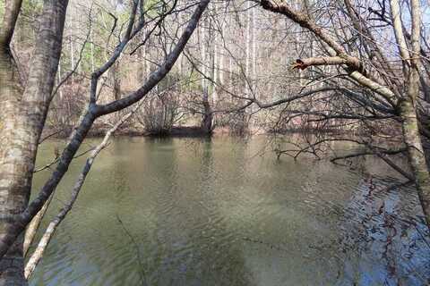 0 Blazing Star Road, Ellijay, GA 30540