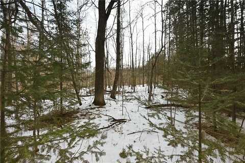 0 1st Street, Trego, WI 54888