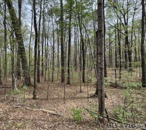 0 Forest Hills Dr, Littleton, NC 27850