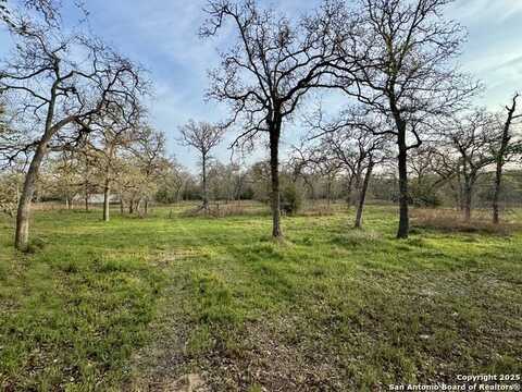 1055 Oak Tree RD, Seguin, TX 78155