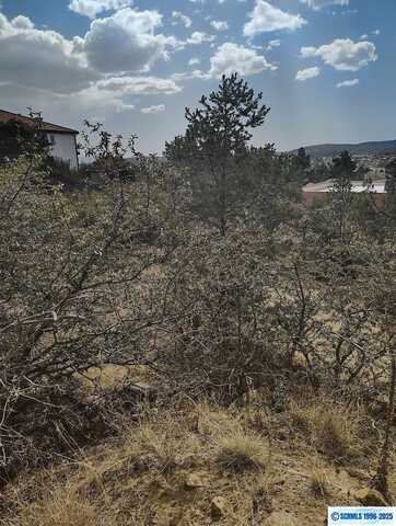 Pine Ridge, Silver City, NM 88061