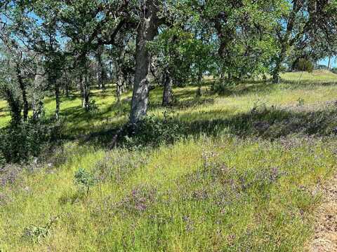 16298 Lariat Loop, Corning, CA 96021