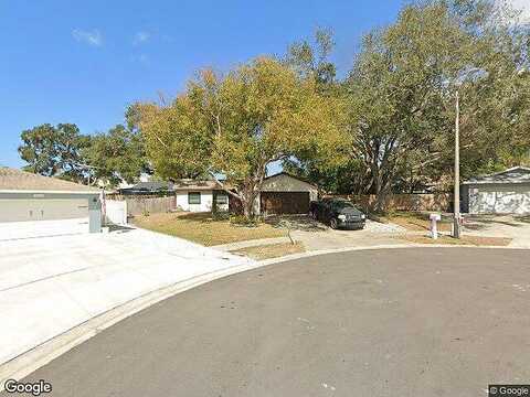 Vineyard, DUNEDIN, FL 34698