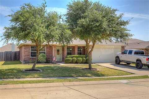 Aster, FORNEY, TX 75126
