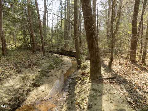 0 Peg Williams Road, Warrenton, NC 27589