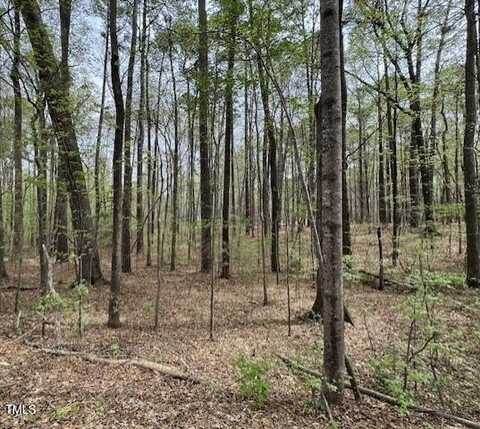 0 Lot 336 Forest Hills Drive, Littleton, NC 27850