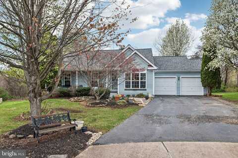 17391 ARROWOOD PLACE, ROUND HILL, VA 20141
