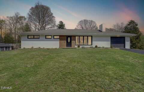616 Hammond Avenue, Mount Carmel, TN 37645