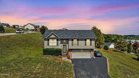 240 Mountain Creek Court, Jonesborough, TN 37659