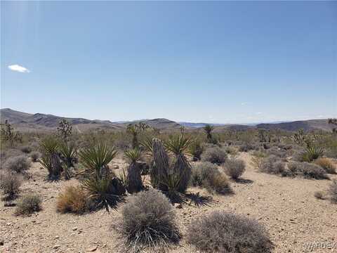3 Acres LA CRESCENTA, White Hills, AZ 86445