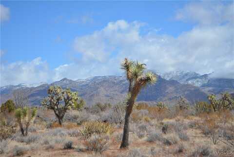 Lot 767 Alamo/La Cienega Road, Yucca, AZ 86438