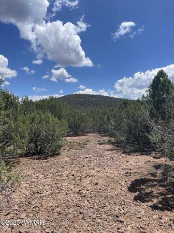 34 County Rd 3323, Vernon, AZ 85940