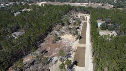 13301 HAVEN TRAIL, WEEKI WACHEE, FL 34614