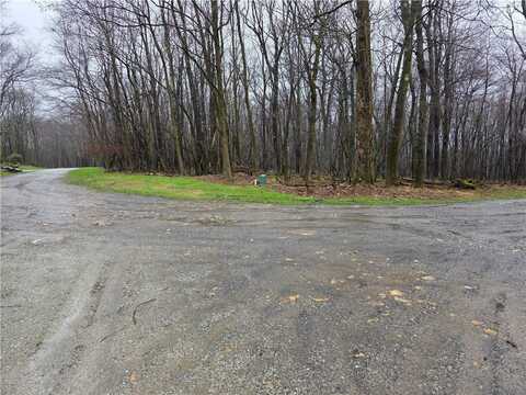 Lot S-13 Camp Run Rd, Donegal, PA 15646