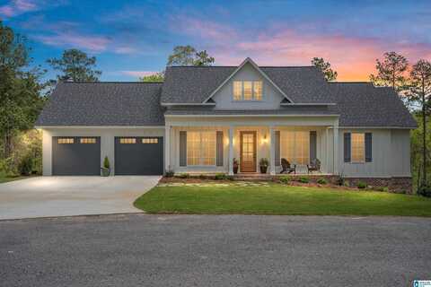 2505 SHORE SIDE LANE, SYLACAUGA, AL 35151