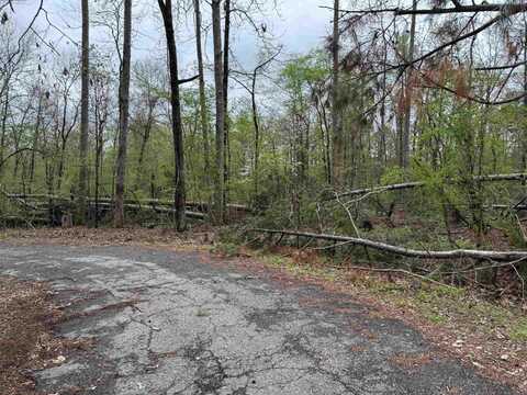 4 PRIETA LANE, Hot Springs Village, AR 71909
