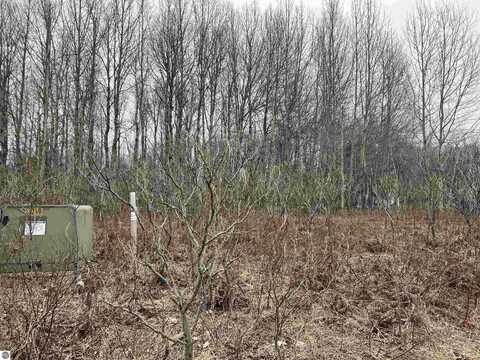 LOT 20 CRESTVIEW DRIVE, CADILLAC, MI 49601