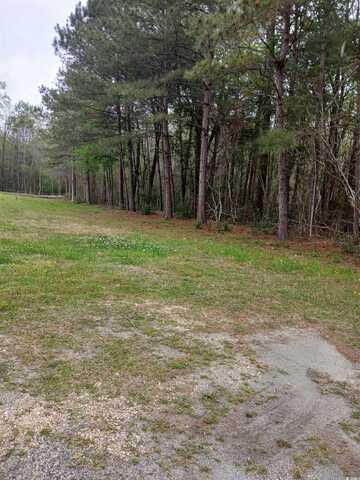 Highway 472, Conway, SC 29526