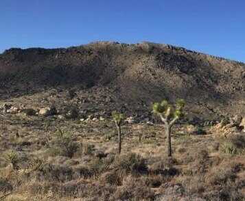 101 Hondo Street, Pioneertown, CA 92268
