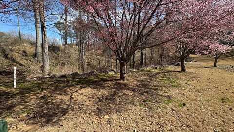 5208 Prestley Crossing Lane, Douglasville, GA 30135