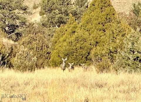 Lot 528 TBD Hayden Taylor Road, Three Forks, MT 59752