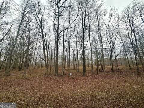 Lot 65 Parks Ferry, Greensboro, GA 30642
