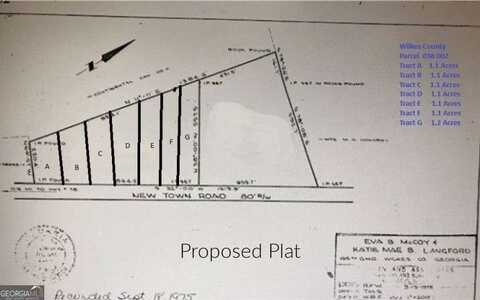 Lot E Newtown, Washington, GA 30673