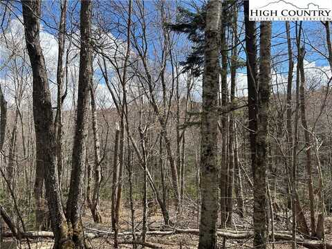 120 E Blueberry Lane, Beech Mountain, NC 28604