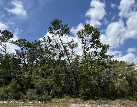. Waterfall Drive, Spring Hill, FL 34608