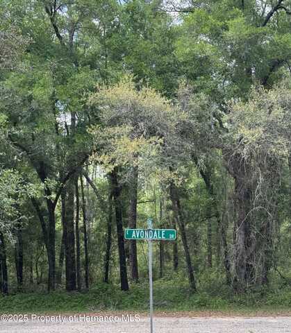 433 E Avondale Drive, Dunnellon, FL 34434