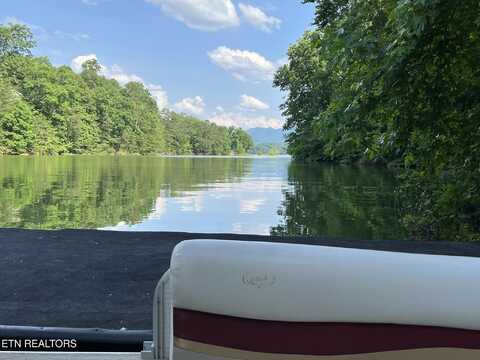 1450 Old Chisholm Tr, Dandridge, TN 37725