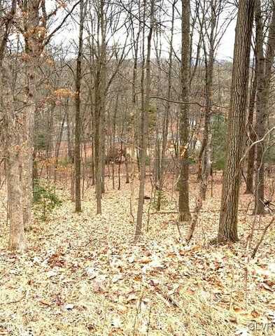 286 Estate Drive, Price Twp, PA 18302