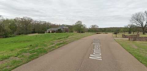 LOT 62 MONTEREY MILLS RD, Collierville, TN 38017