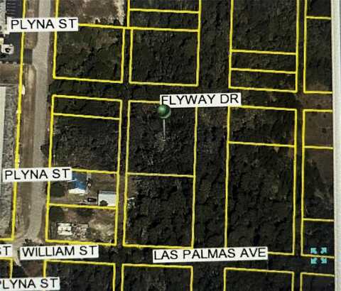 LAS PALMAS AVENUE, SPRING HILL, FL 34606