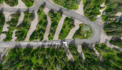 32691 Pine Meadow Drive, Bigfork, MT 59911