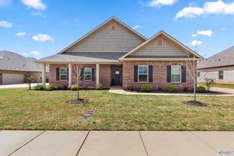 520 W West River Landing Blvd SW, Madison, AL 35756