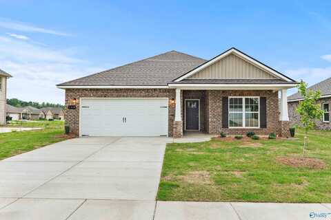 140 Ivy Vine Drive, Toney, AL 35773