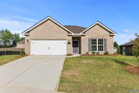 179 River Pointe Drive, New Market, AL 35761