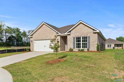179 River Pointe Drive, New Market, AL 35761