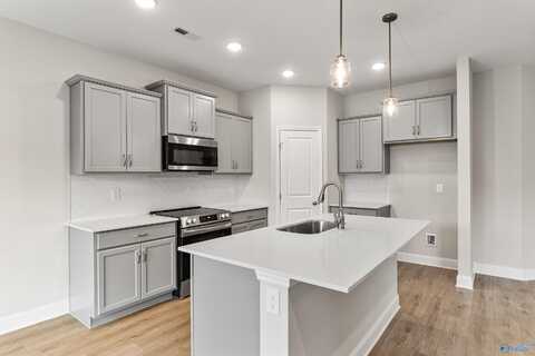179 River Pointe Drive, New Market, AL 35761