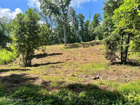 lot 1 Arwine Road, Decatur, TN 37322