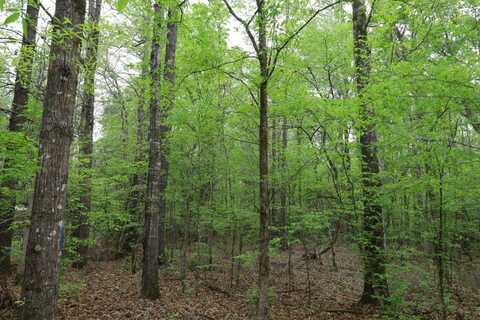 TBD Jaril Rd., Kelly, LA 71441