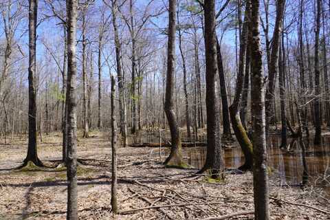 000 Hwy 167 N, Fordyce, AR 71742