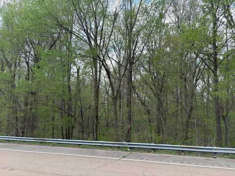 0 N Watkins St, Millington, TN 38053