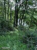 Lot 10 Blossom Road, Lackawaxen, PA 18435