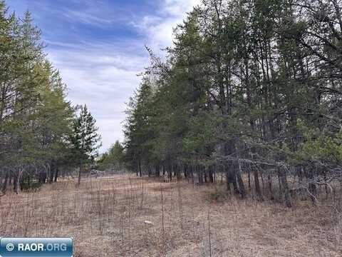 TBD Hwy 21, Babbitt, MN 55706
