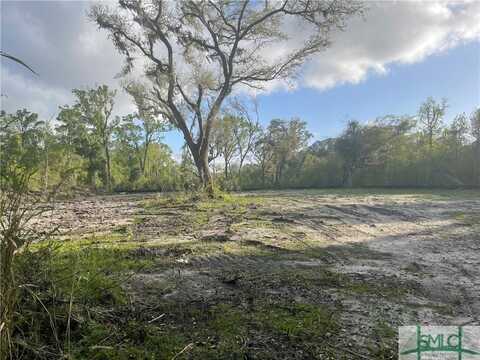 0 Pine Barren Road, Pooler, GA 31322