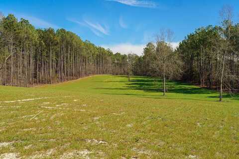 Lot 8 Carillon Court, Aiken, SC 29803