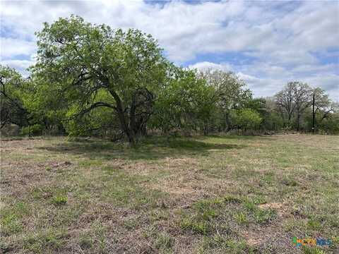 552 County Road 423, Stockdale, TX 78160